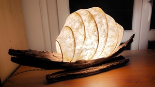 Making an incredible design lamp with driftwood step by step DIY project