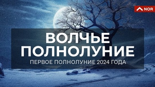 ВОЛЧЬЕ ПОЛНОЛУНИЕ / ПЕРВОЕ ПОЛНОЛУНИЕ ГОДА /  / ЛИЛИЯ НОР