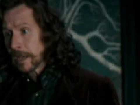 If You Were Gay ( Remus, Sirius) Harry