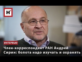 ЧЛЕН-КОРРЕСПОНДЕНТ РАН АНДРЕЙ СИРИН: БОЛОТА НАДО ИЗУЧАТЬ И ОХРАНЯТЬ