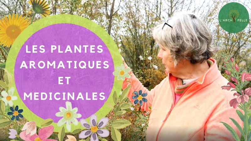 Les PLANTES AROMATIQUES et MEDICINALES pour votre