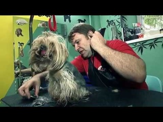 Курсы обмана. Осторожно, мошенники!