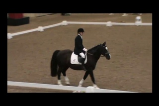 Олег Бурмистров Hartpury Festival of Dressage CEPDI 3*  Event 2010