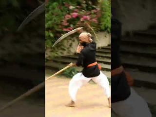 Indian martialarts #silambam #kalaripayattu  #martialarts