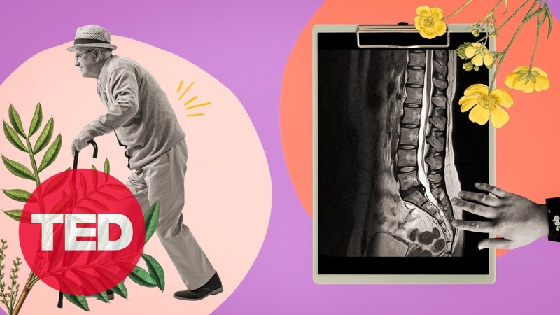 5 Things You Should Know About Back Pain, Body Stuff with Dr. Jen Gunter,