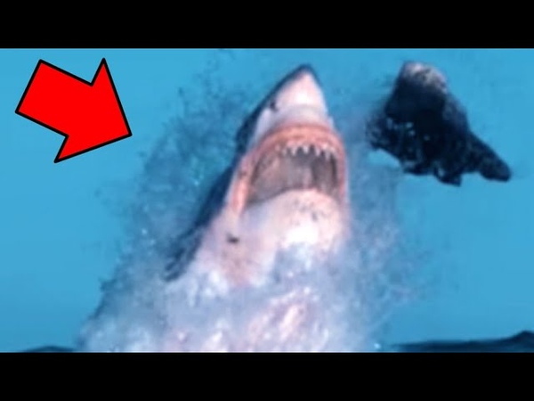 9 Scary Fishing Moments Caught On
