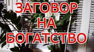 ЗАГОВОР НА ДЕНЬГИ, БОГАТСТВО, НА МАТЕРИАЛЬНЫЙ РОСТ !!!