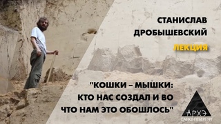 Станислав Дробышевский: Кошки  мышки: кто нас создал и во что нам это обошлось
