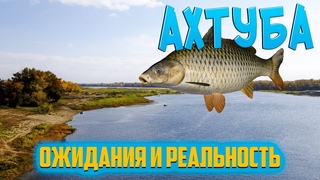 На что ловить сазана Рыбалка на Ахтубе - ПРИВЕТ АРБУЗЫ! РР4