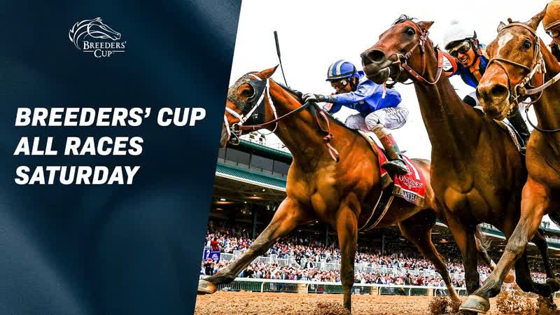 Обзор Breeders Cup