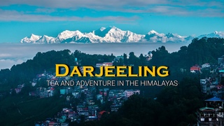 Destination Darjeeling - Tea and Adventure in the Himalayas - First Peek