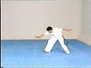 Advanced Capoeira. Mestre Paulao Ceara. 07-1