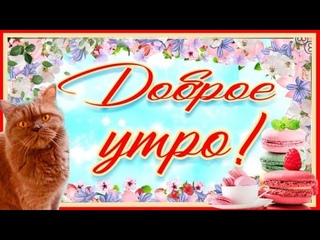 С Добрым утром апреля!! Доброе утро, хорошего дня и прекрасного настроения!