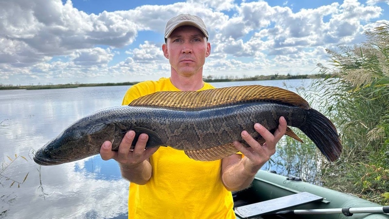 WORLDS LARGEST fish Trap to