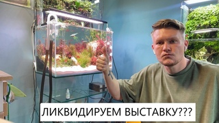Разбираем выставку Закрываем офис АКВАРИУМПЕРМЬ.РФ  Приводим галерею в порядок.