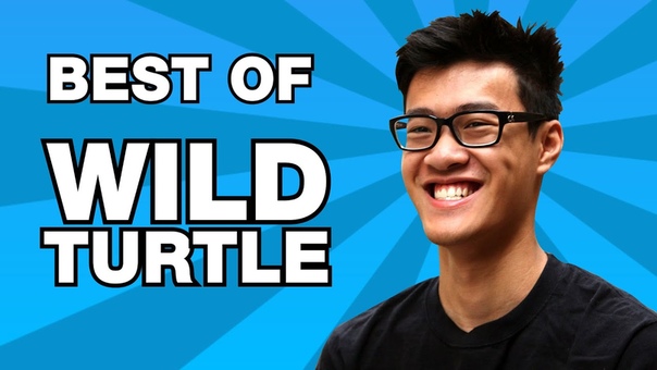 Best of Wild Turtle, Not Actually a