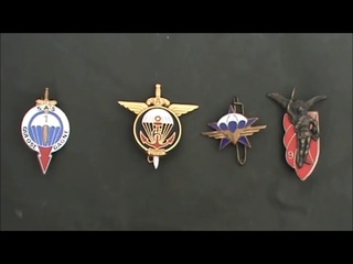 Modèle F1- Les pucelles ou insignes régimentaires - La 11e division parachutiste