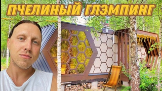 Где отдохнуть летом Ночую в УЛЬЕ/Глэмпинг Honey Day в Тульской области