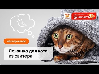 Мастер-класс: “Лежанка для кота из свитера“