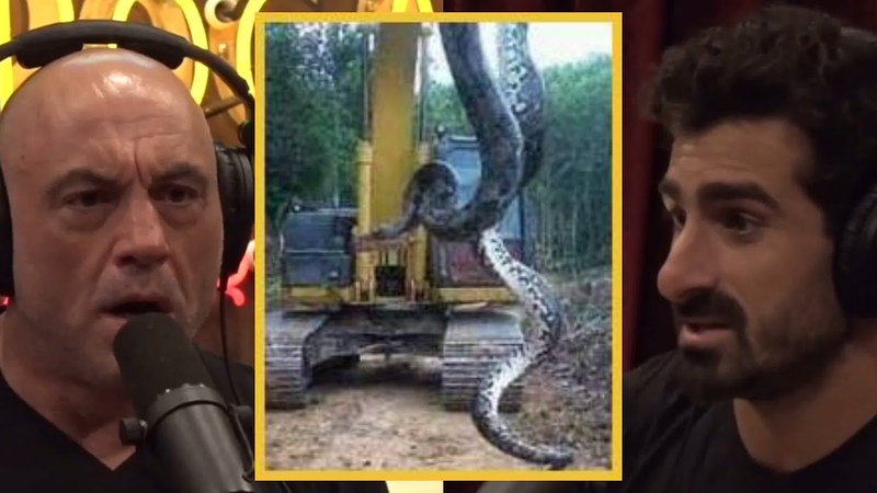 JRE: 60 Foot Anaconda Is It