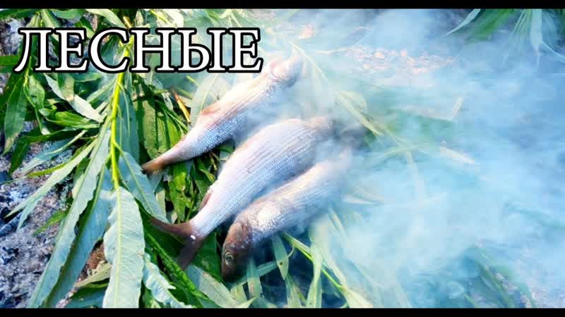 ГОРЯЧЕЕ КОПЧЕНИЕ РЫБЫ и РЫБА В УГЛЯХ Примитивная кухня,