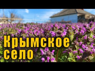 НЕкурортный КРЫМ Джанкой село Победное. Северо-Крымский канал полный воды