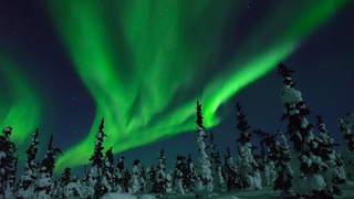 Winter Wonder 2022 - Short 4K Film & Holiday Greetings from Nature Relaxation™