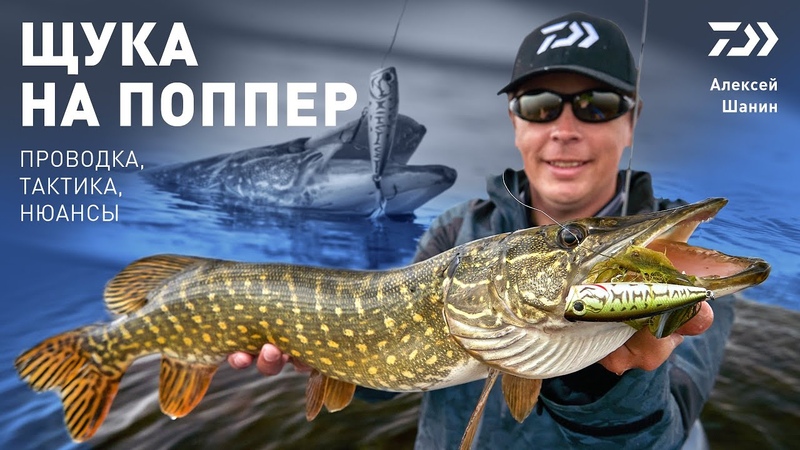 ЩУКА НА ПОППЕР, ПРОВОДКА x ТАКТИКА x НЮАНСЫ, АЛЕКСЕЙ