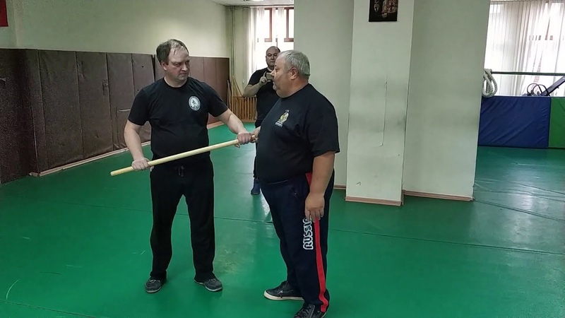 2020 Systema Ryabko.