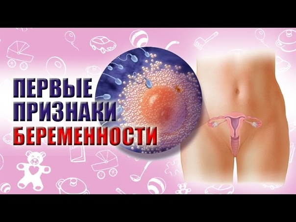 ПЕРВЫЕ ПРИЗНАКИ БЕРЕМЕННОСТИ. САМЫЕ ПЕРВЫЕ ПРИЗНАКИ