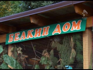 Новые обитатели Белкина дома