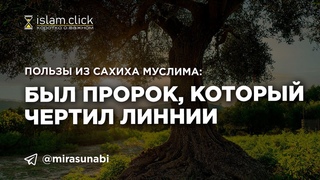 Был Пророк, который чертил линии. Пользы из Сахиха Муслима. Абу Яхья Крымский