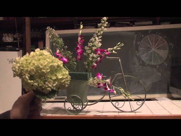 Bicycle Novelty With Late Spring