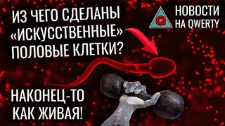 Робо-рука, Песнь Меркурия, Небесный тоннель, Искусственные сперматиды и т.д. Новости QWERTY №191