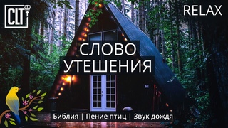Расслабься в Божьем присутствии | Молитва и Слово Божье | Звук дождя и пение птиц | Relaxing