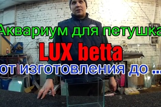 Аквариум для петушка LUX betta от изготовления до ...