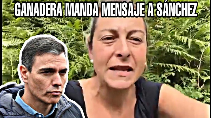 GANADERA CÁ NTABRA MANDA ESTE MENSAJE A PEDRO SÁ