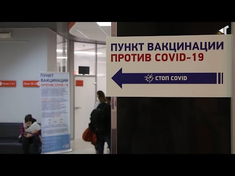 Новости Северного города Коллективный иммунитет.