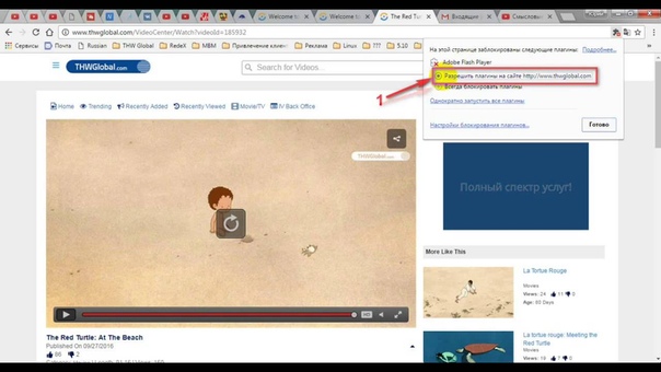 Работа плагина Adobe Flash Player в браузере Google