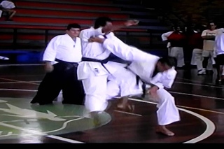 Lyoto Machida Karate best Ippon lyoto machida karate best ippon