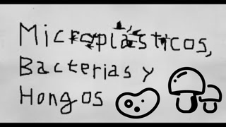 Microplásticos, bacterias y hongos