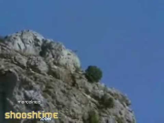 Golden Eagle Kills Goat