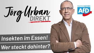 Insekten im Essen - Wer steckt dahinter?