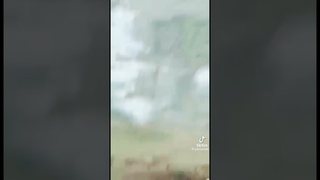 Улетное видео.Коты и их хозяева.#shorts