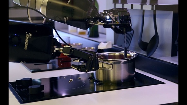 Robotic chef can cook Michelin star food in your kitchen by mimicking worlds best