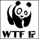 Дмитрий Малинин | Санкт-Петербург