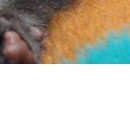 №161, Надежда Петрова, 39 лет, Тверь №161, Надежда Петрова, 39 лет, Тверь