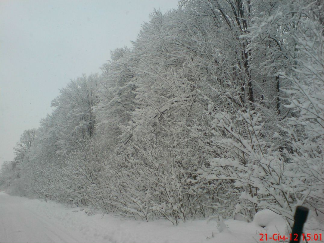 Ігор Панасюк | Ровно