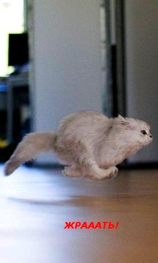 Artyom Igorevich | Москва