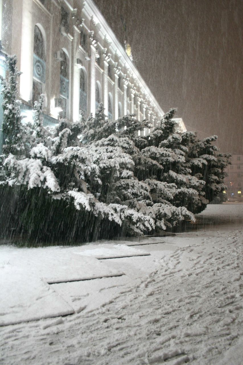 Марианна Казанцева | Севастополь